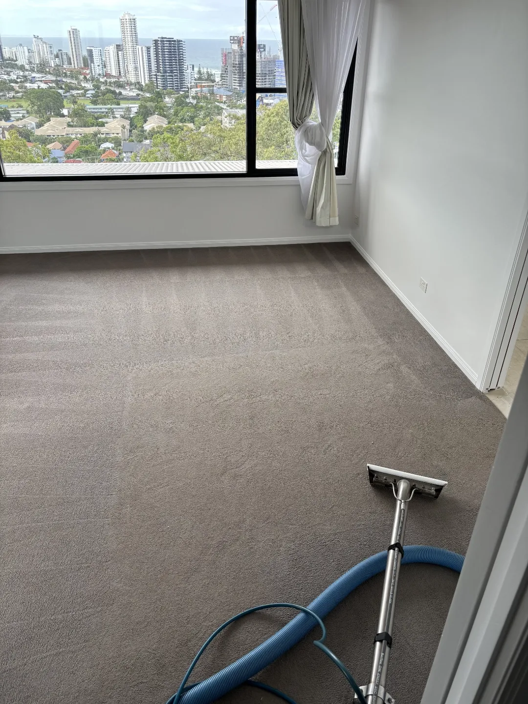 The Carpet Surgeon Gold Coast during a partially completed carpet cleaning service.