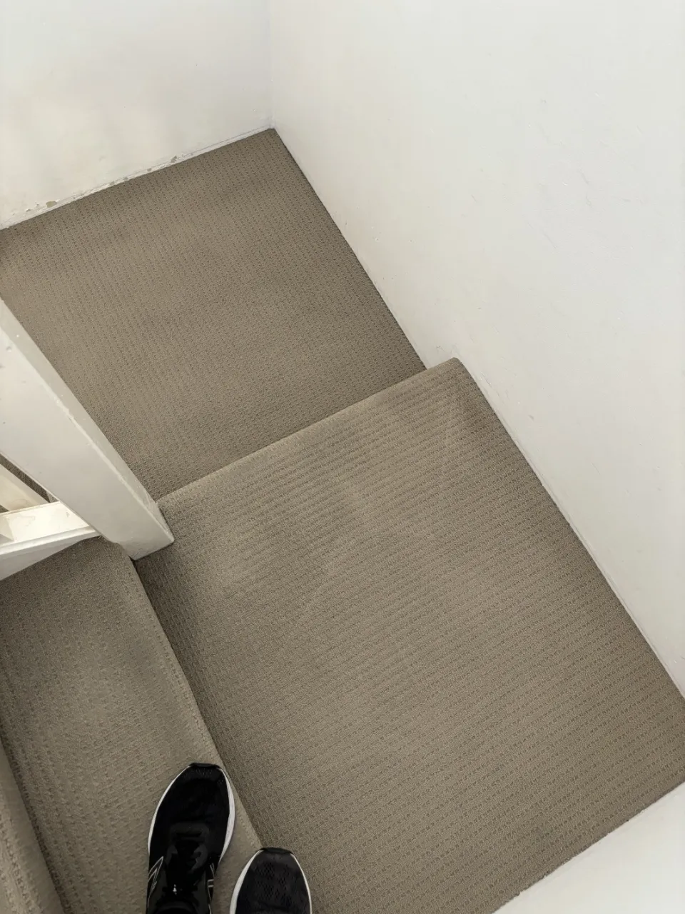 A clean carpet in a stair landing after professional carpet cleaning by The Carpet Surgeon.