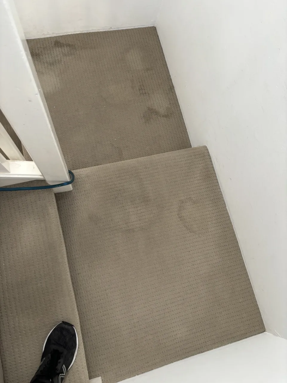 A dirty carpet in a stair landing before professional carpet cleaning by The Carpet Surgeon.