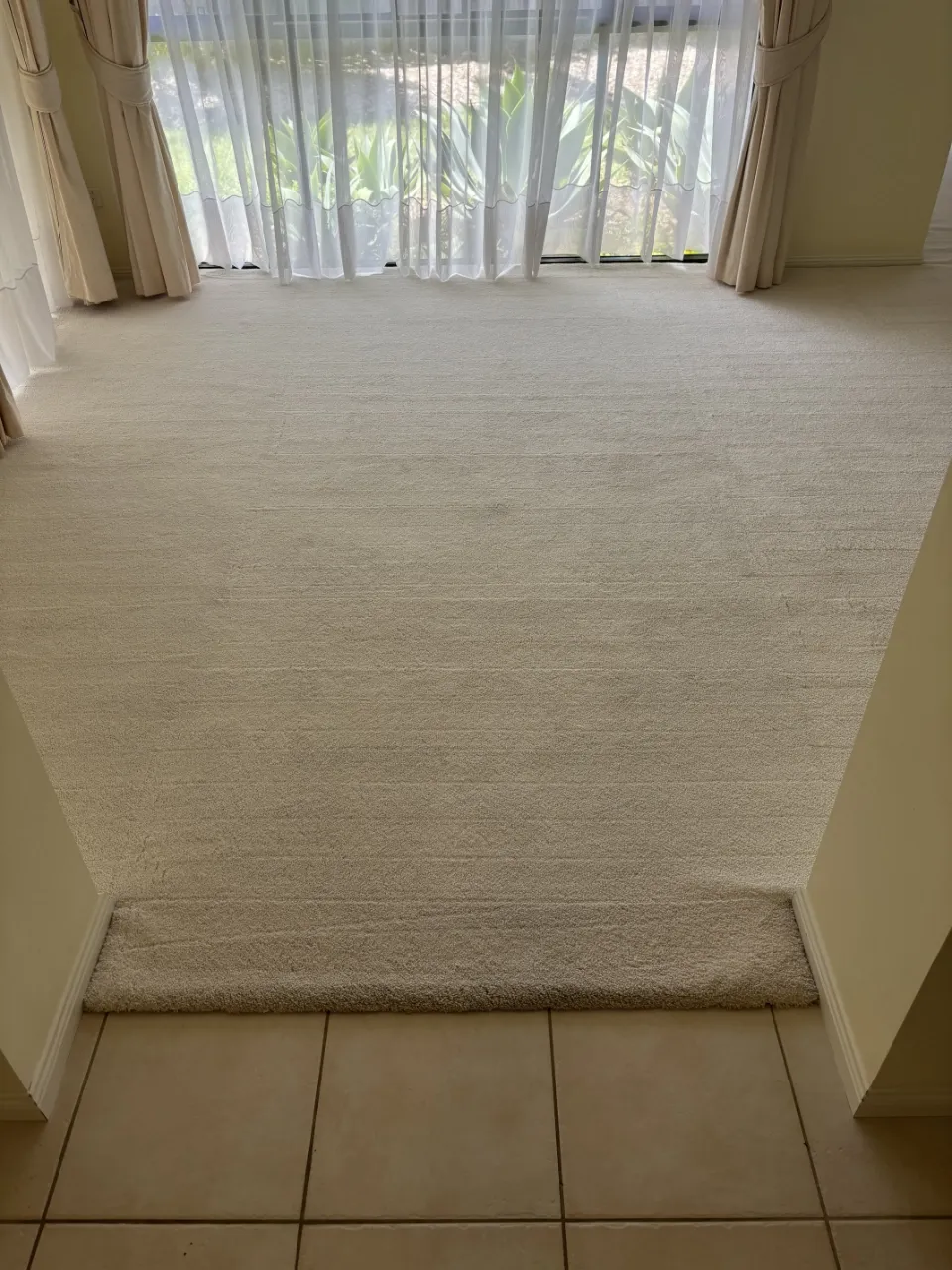 A clean carpet in a living room after professional carpet cleaning by The Carpet Surgeon.