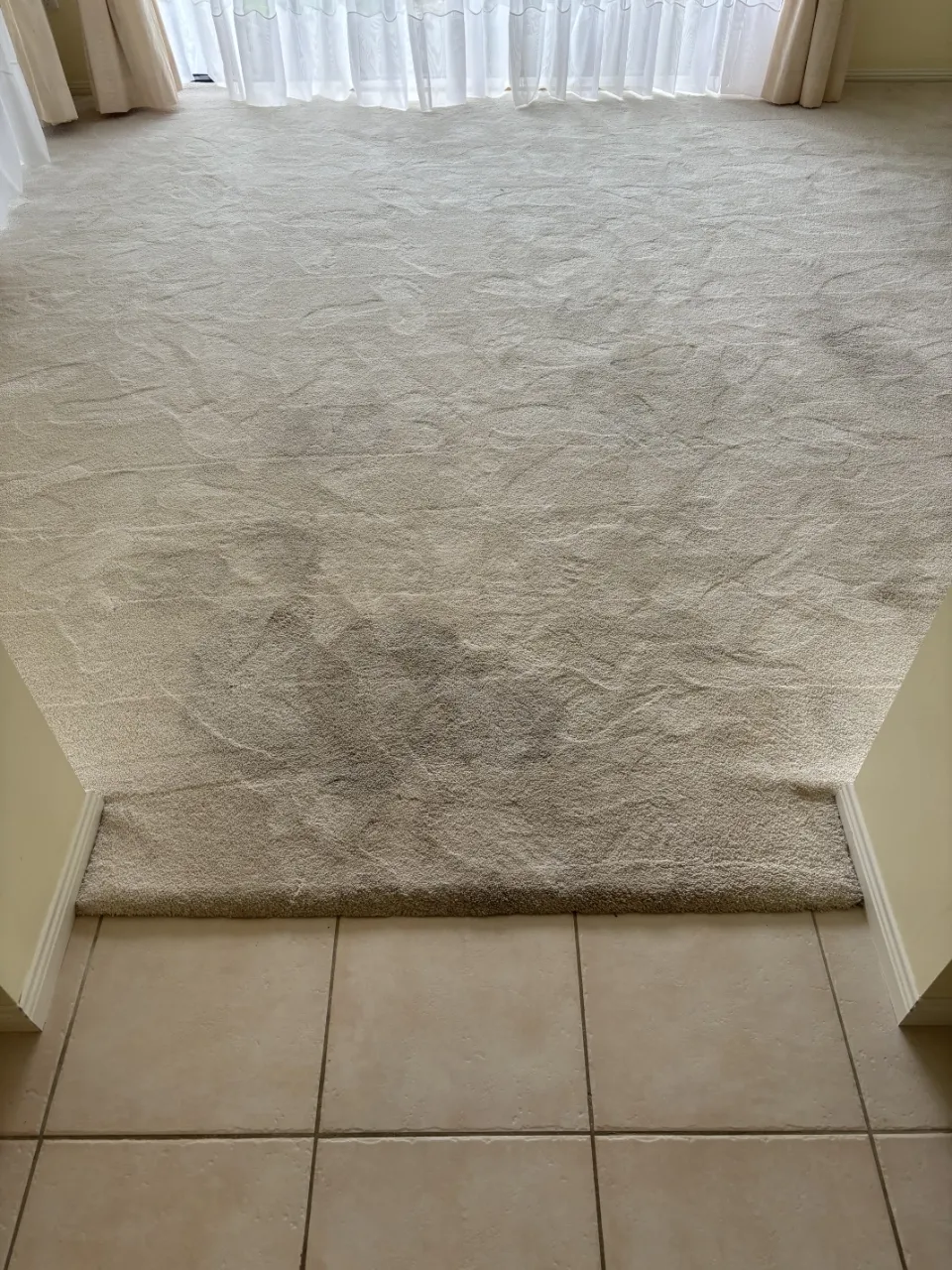 A dirty carpet in a living room before professional carpet cleaning by The Carpet Surgeon.