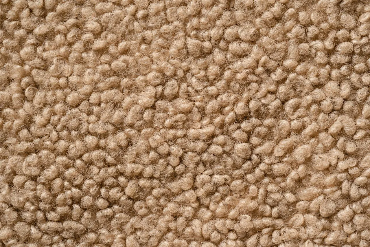 Close up of premium wool carpet fibres expertly cleaned by the Gold Coast wool carpet cleaning experts