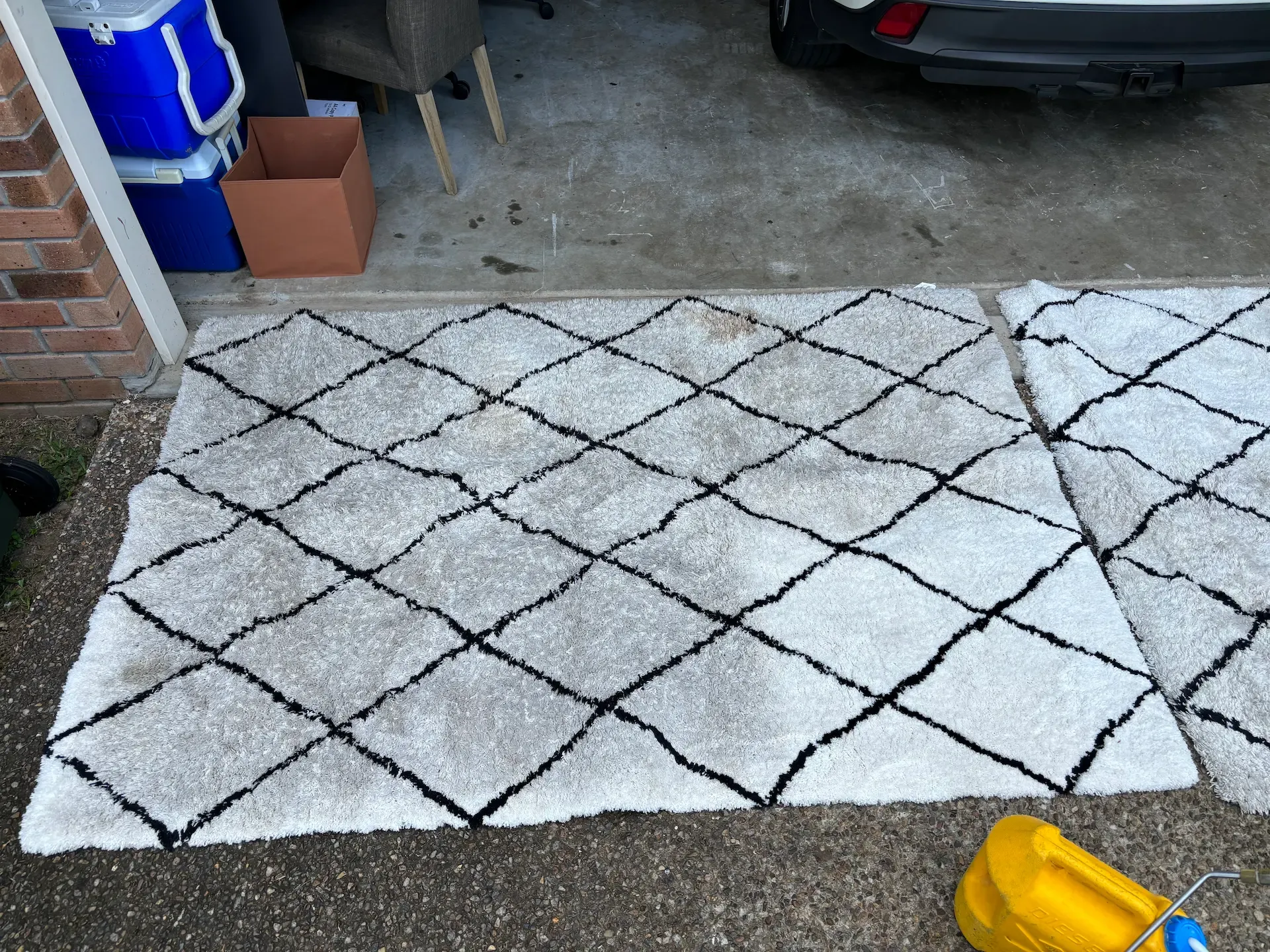 Professional rug odour removal being performed in a Gold Coast residence