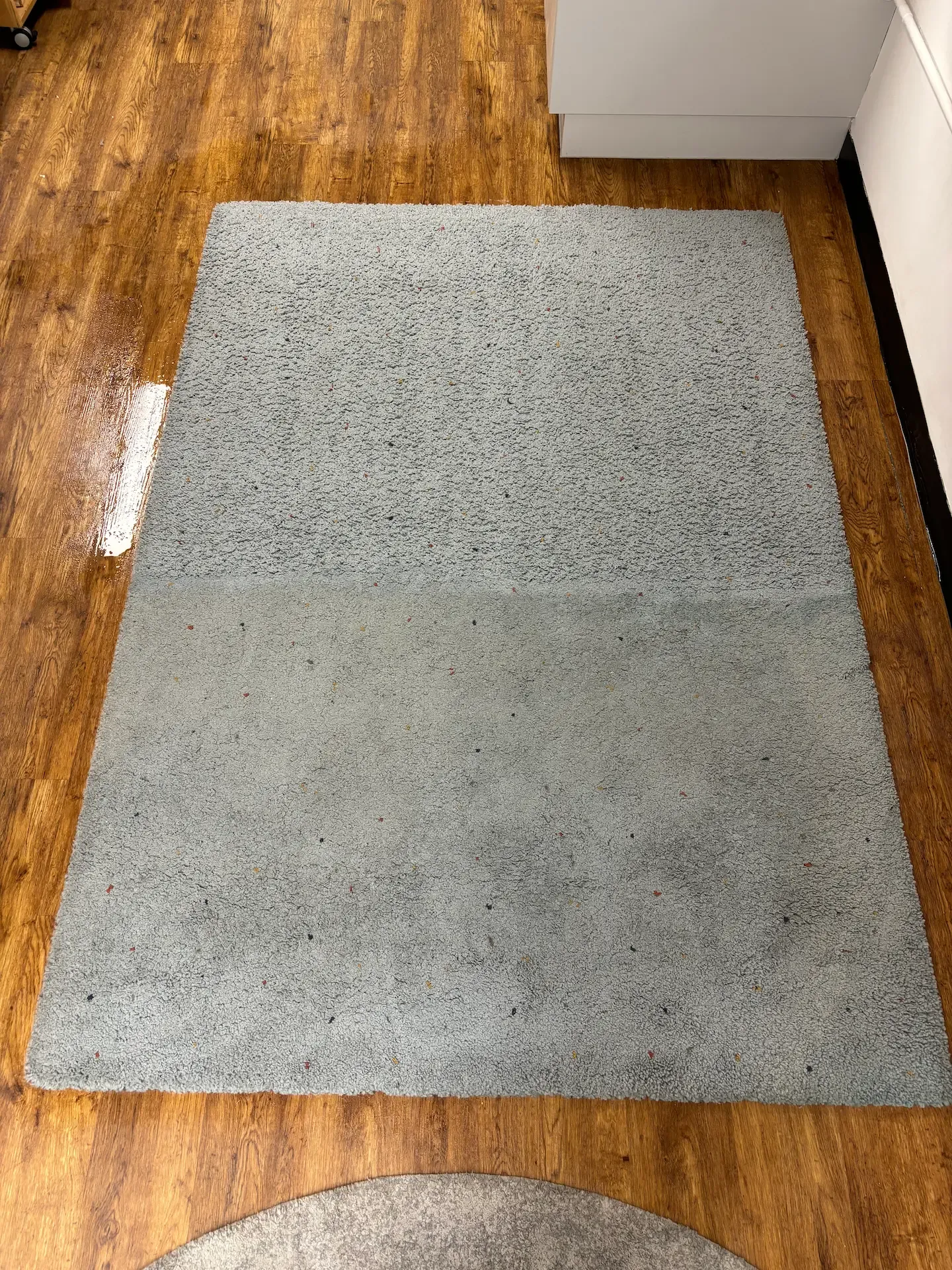 Professional commercial rug cleaning being performed in a Gold Coast business