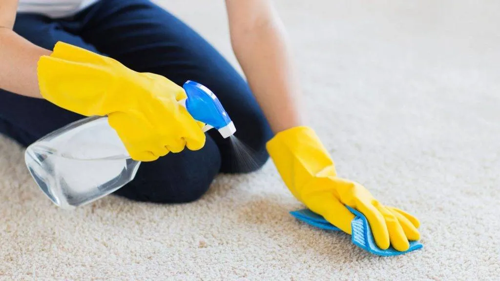 Spray bottle for carpet stain