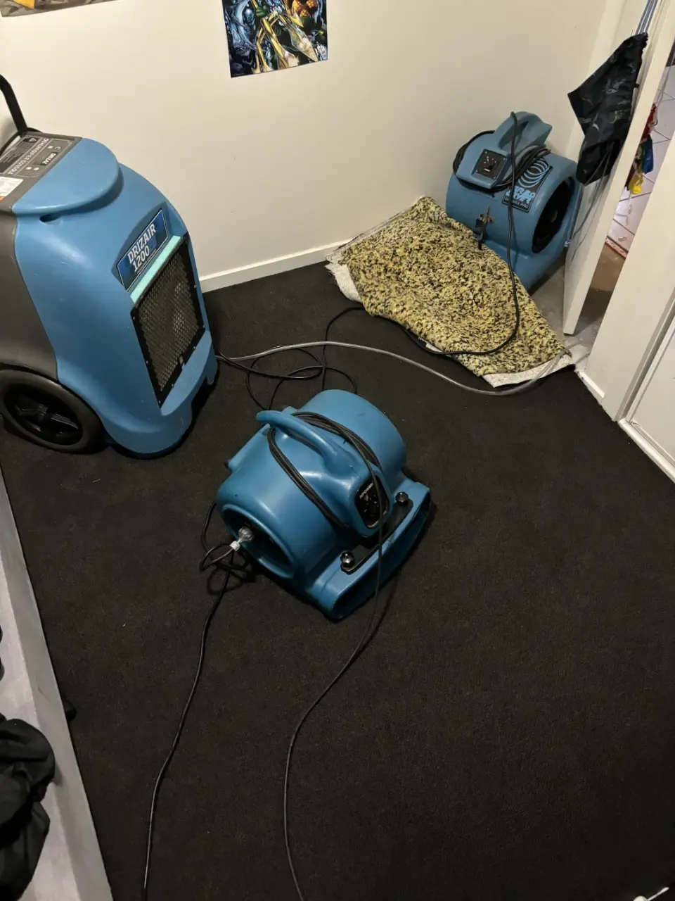 Property after professional water damage restoration by The Carpet Surgeon Gold Coast