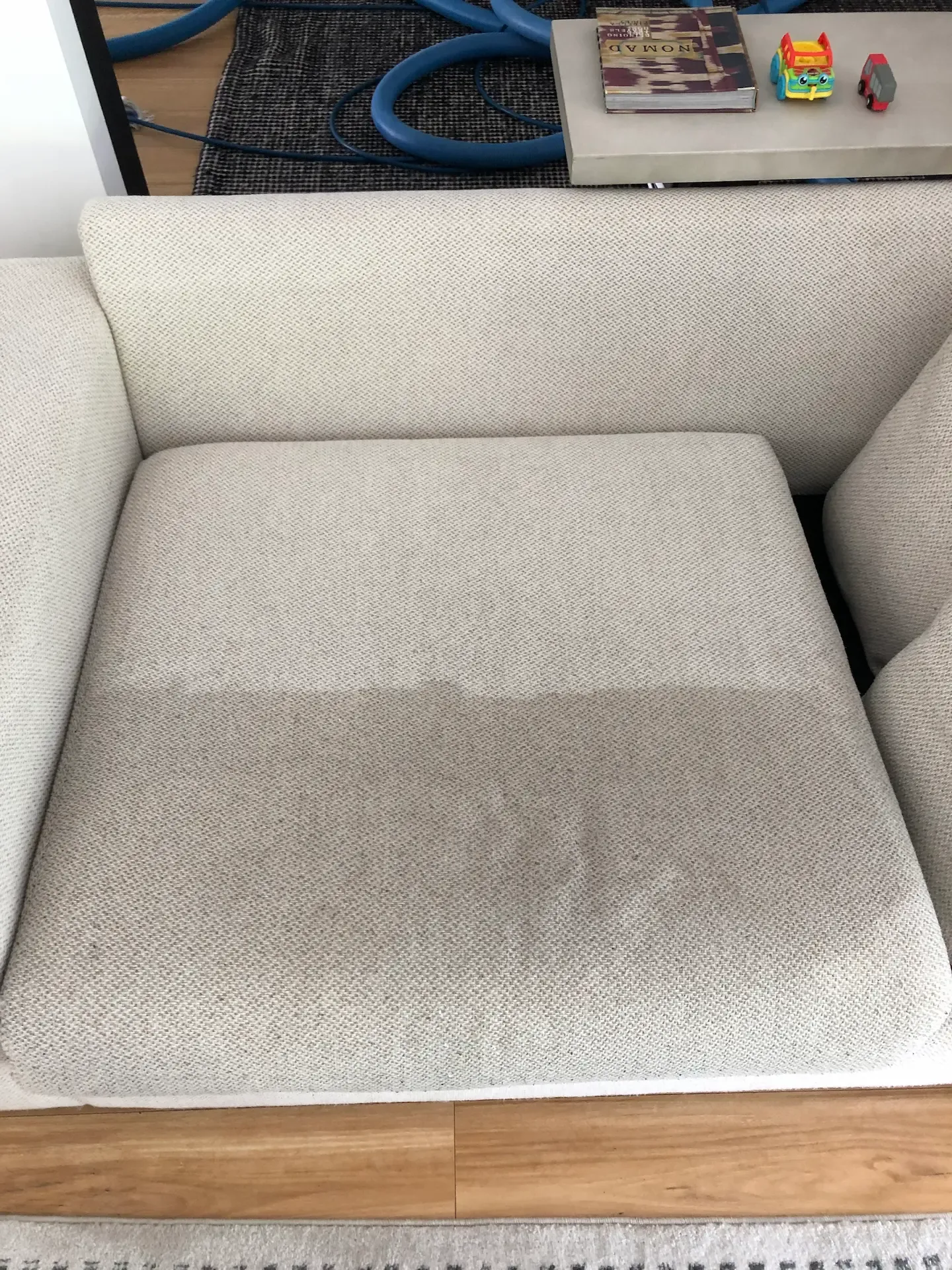 Professional commercial upholstery cleaning being performed in a Gold Coast business