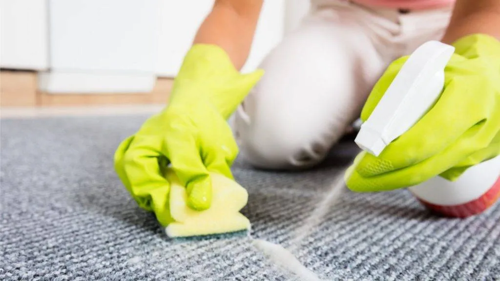 Wiping a carpet stain with a wet sponge