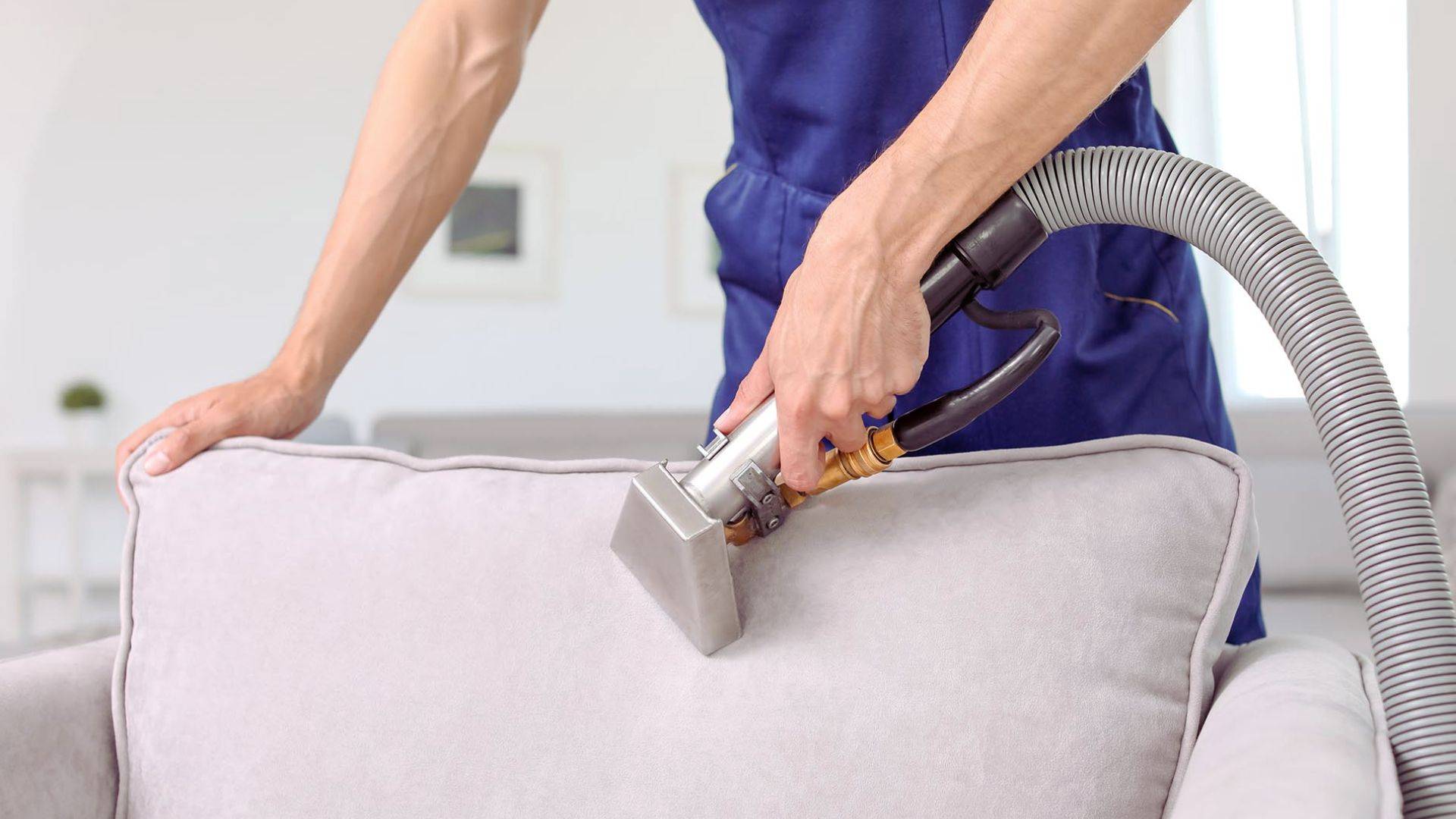 Professional carpet cleaning gold coast and licensed pest control services by the carpet surgeon showing professional cleaning sofa