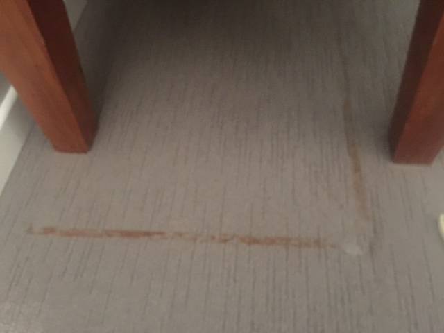 Carpet stain removal gold coast example - before the carpet surgeon