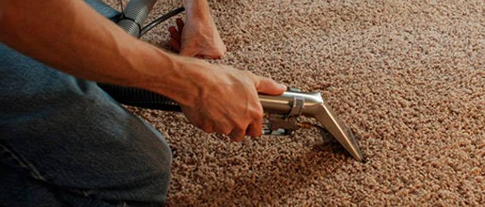 5 reasons to hire a carpet cleaning company