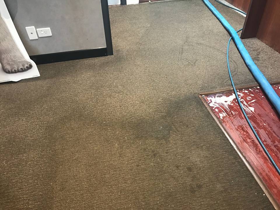 The carpet surgeon gold coast explains how to avoid cleaning tasks building up with the use of a home and carpet cleaning schedule.