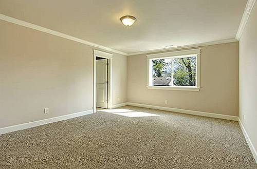 Gold coast carpet steam cleaning