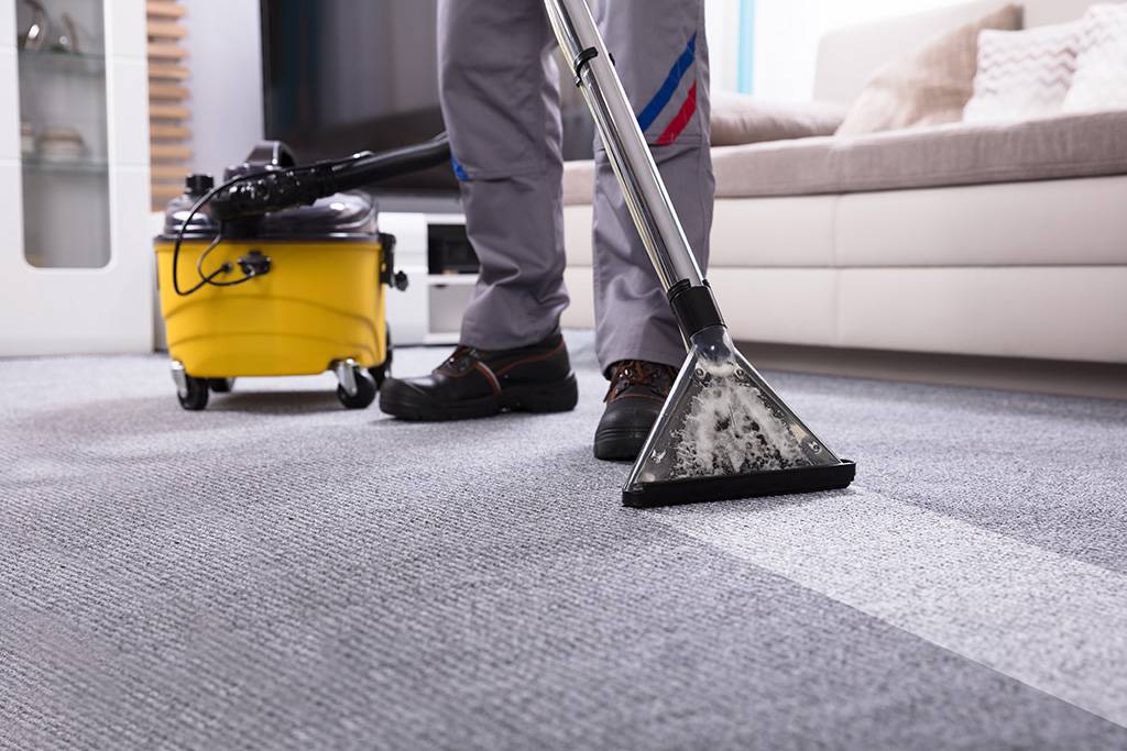 Professional carpet cleaning gold coast