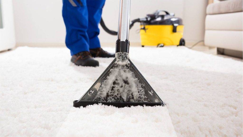 Professional carpet cleaning gold coast and licensed pest control services by the carpet surgeon showing professional carpet cleaner white rug