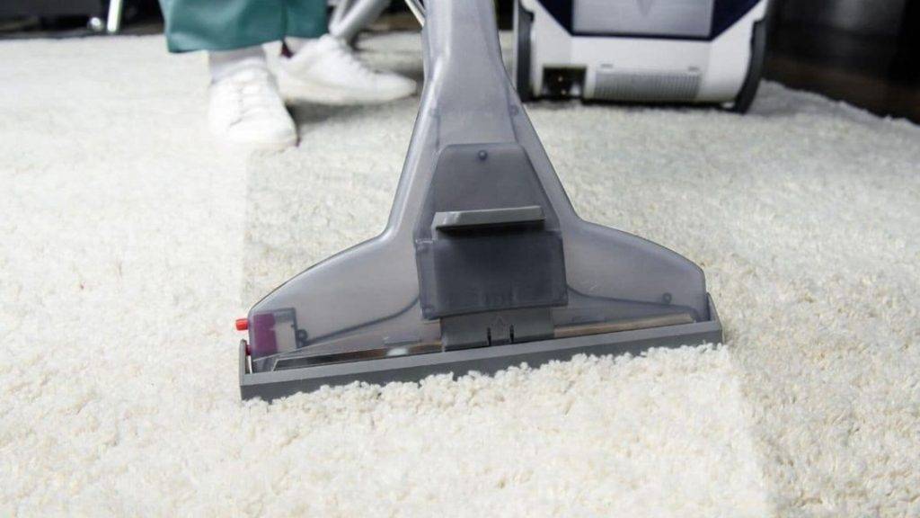 Sign your carpets need a professional clean
